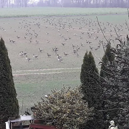 Niederrhein Blick Sonsbeck