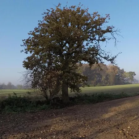 Niederrhein Blick Appartement Sonsbeck