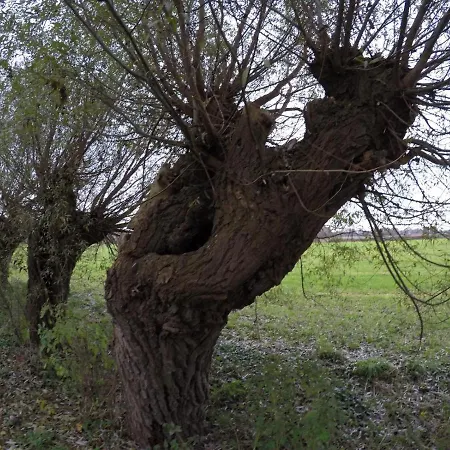 Niederrhein Blick * Sonsbeck