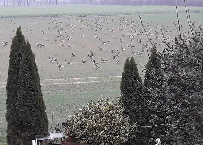 Niederrhein Blick Sonsbeck