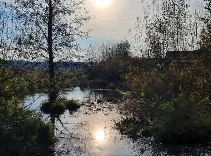 公寓 Niederrhein Blick Sonsbeck