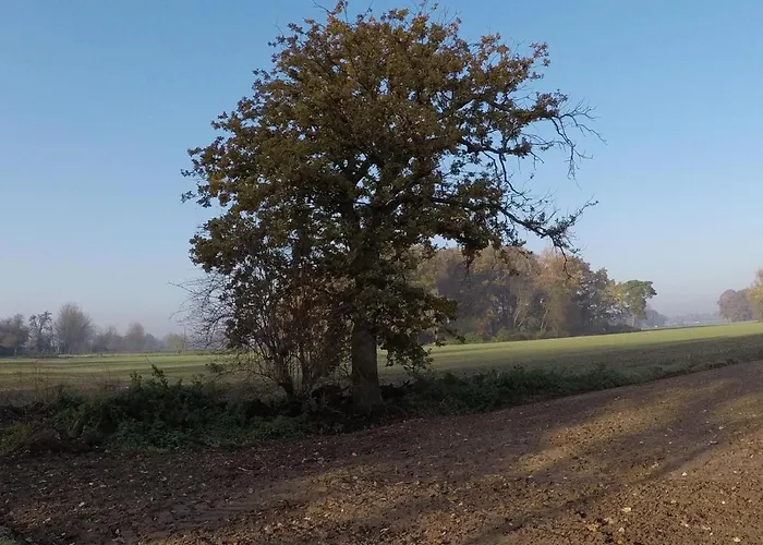 Niederrhein Blick 公寓 Sonsbeck
