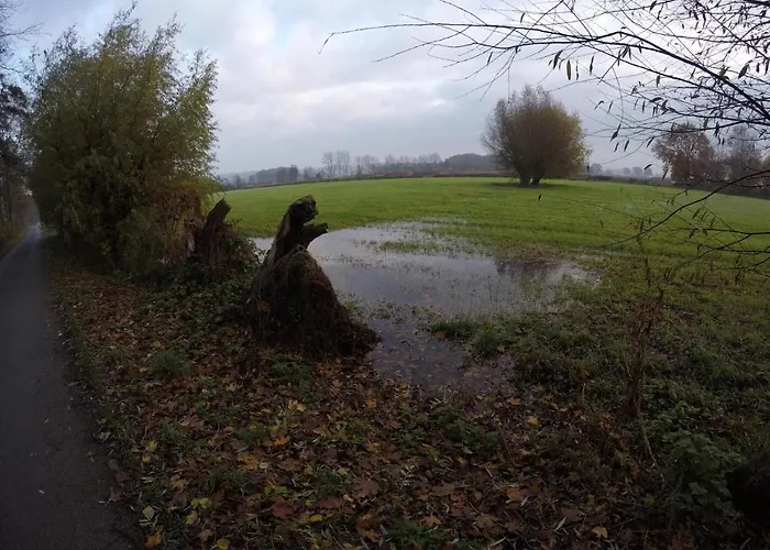 公寓 Niederrhein Blick Sonsbeck